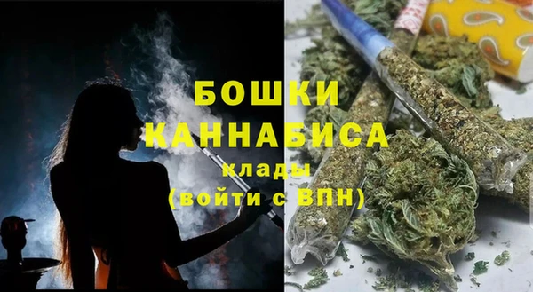 прущие крисы Бородино